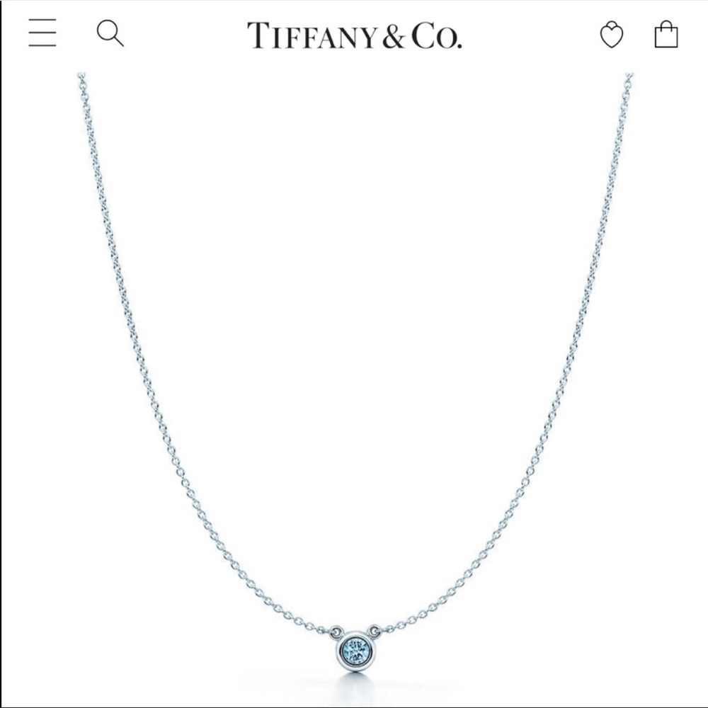 Tiffany & Co Necklace